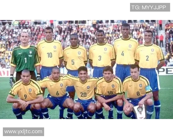 瑞典足球明星的精彩瞬间与成就展示，领略他们在绿茵场上的风采与魅力